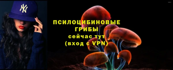 марки nbome Белокуриха