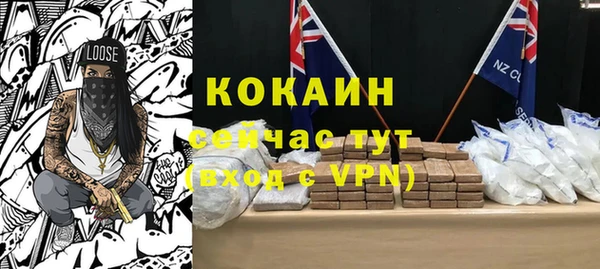 spice Богданович