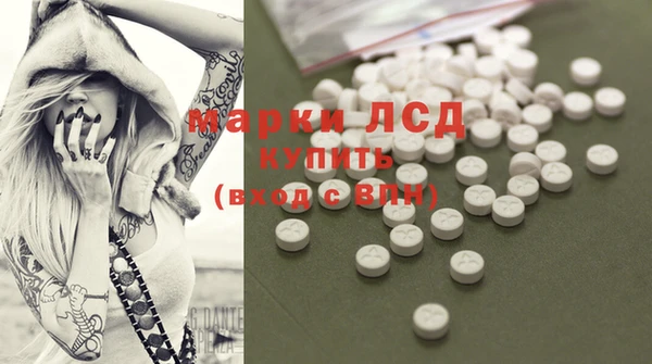 spice Богданович