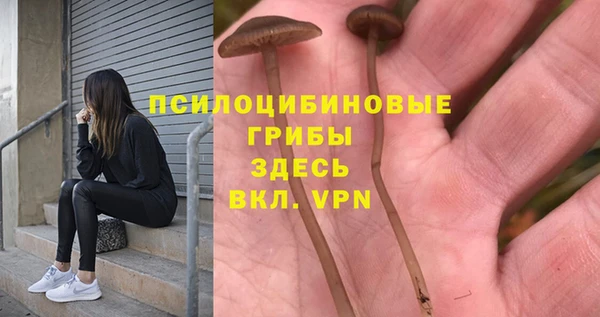 марки nbome Белокуриха