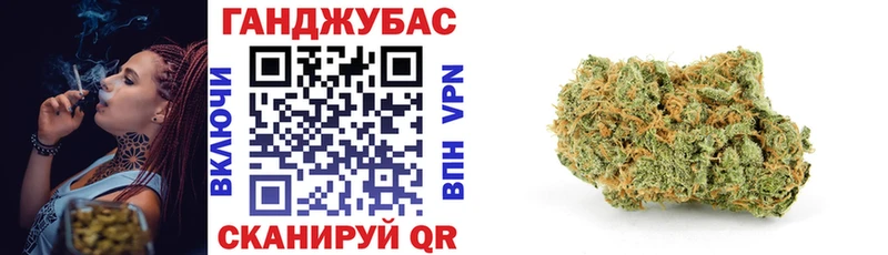 где купить наркотик  Острогожск  Бошки марихуана планчик 